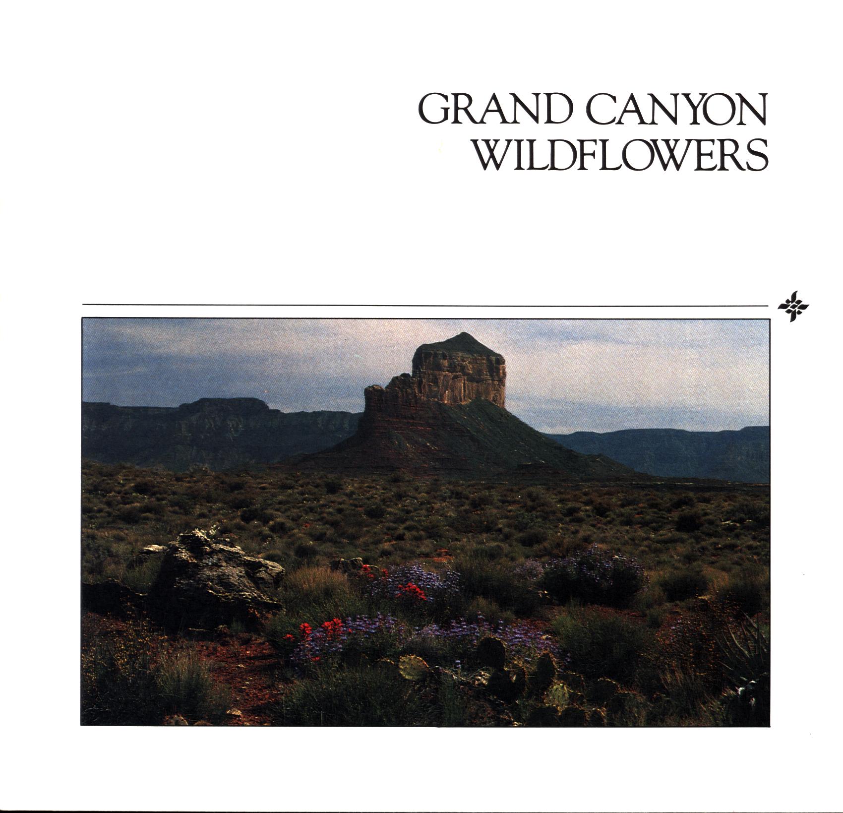 GRAND CANYON WILDFLOWER